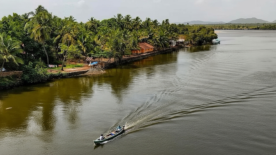 Goa Backwater Cruise on Mandovi River