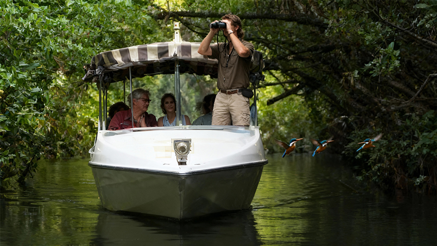 Backwater Cruises in Goa - Mandovi and Zuari River Tours