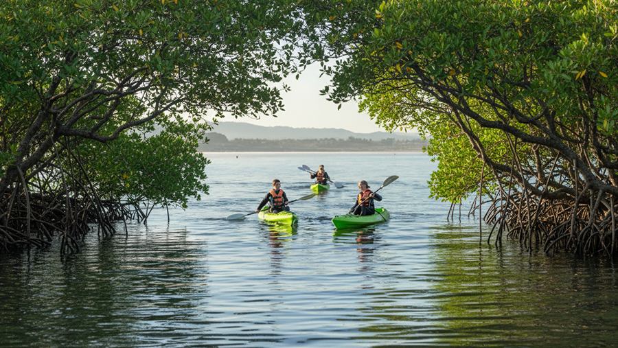 Kayaking in Goa