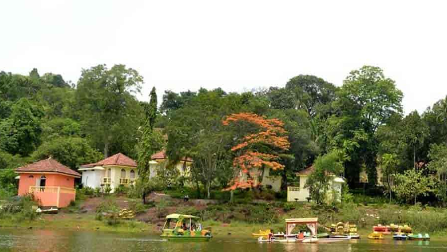 GTDC Mayem Lake View