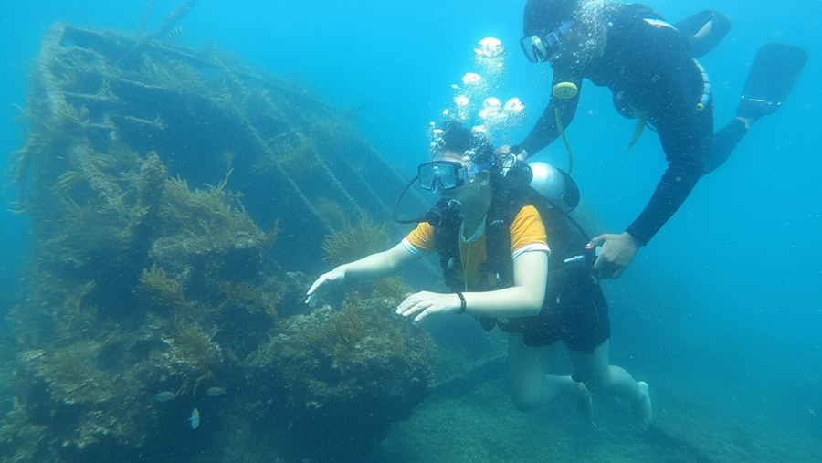 Scuba Diving in Goa